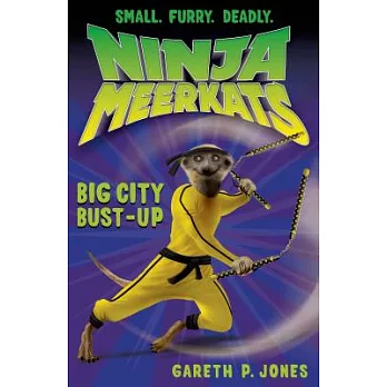 Ninja Meerkats (6) : Big city bust-up /