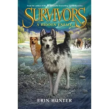Survivors: A hidden enemy /