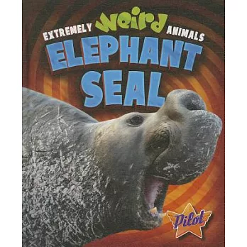 Elephant seal /