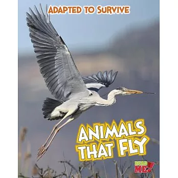 Animals that fly /