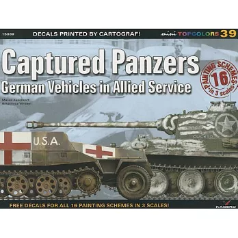 Captured Panzers German Vehicles in Allied Service