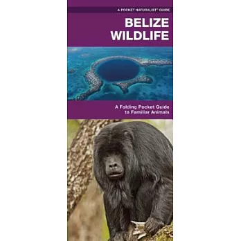 Belize Wildlife: A Folding Pocket Guide to Familiar Species