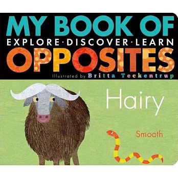 My Book of Opposites