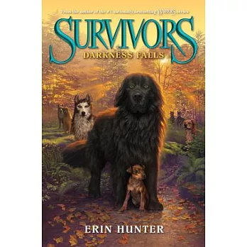 Survivors: Darkness falls /