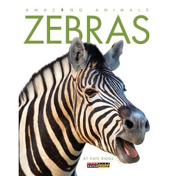 Zebras /