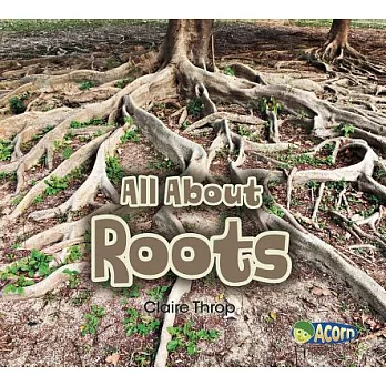 All About Roots