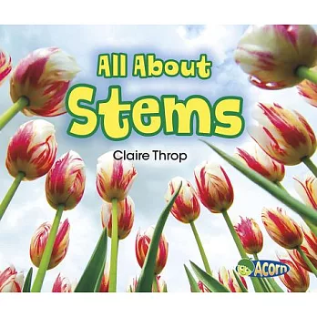 All About Stems