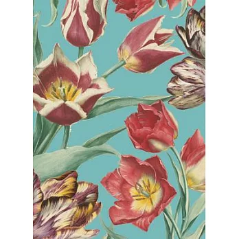 Royal Horticultural Society Tulips Boxed Notecards
