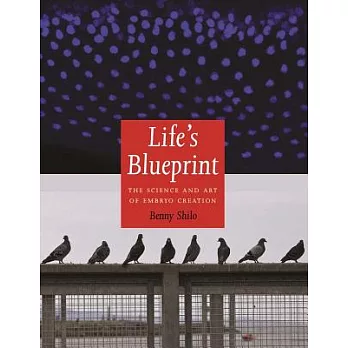 Life’s Blueprint: The Science and Art of Embryo Creation