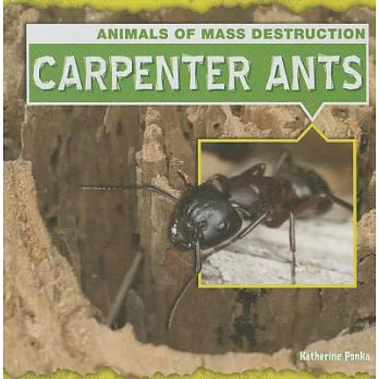 Carpenter ants /