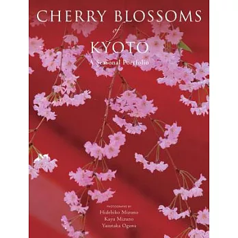 Cherry Blossoms of Kyoto: A Seasonal Portfolio