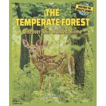 The Temperate Forest: Discover This Wooded Biome