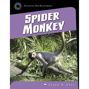 Spider monkey /