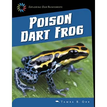 Poison dart frog /