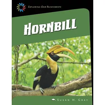 Hornbill /