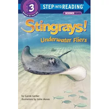 Stingrays! : underwater fliers /