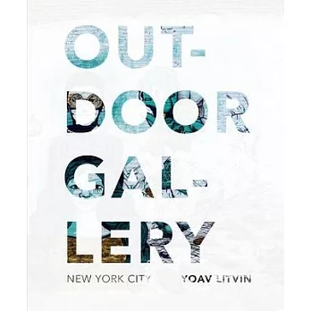 Outdoor Gallery: New York City