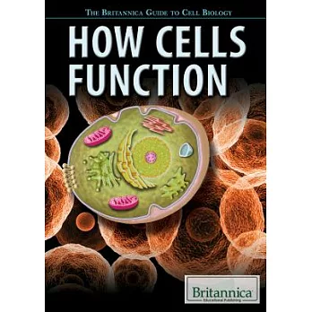How Cells Function