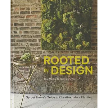 Rooted in Design: Sprout Home’s Guide to Creative Indoor Planting