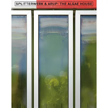 The Algae House: About the First Building With a Bioreactor Façade
