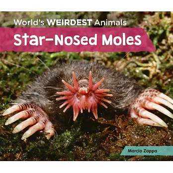 Star-nosed moles /