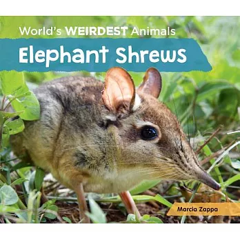 Elephant shrews /