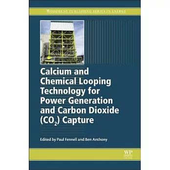 Calcium and Chemical Looping Technology for Power Generation and Carbon Dioxide Co2 Capture