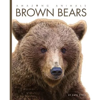 Brown Bears /
