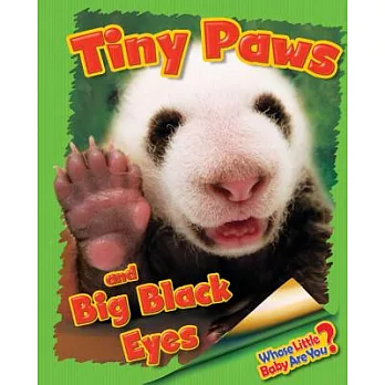 Tiny Paws and Big Black Eyes