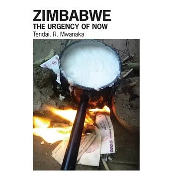 Zimbabwe: The Urgency of Now