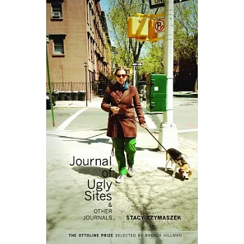 Journal of Ugly Sites & Other Journals