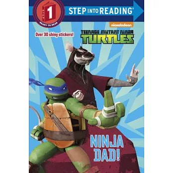 Teenage mutant ninja turtles : ninja dad! /