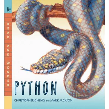 Python /