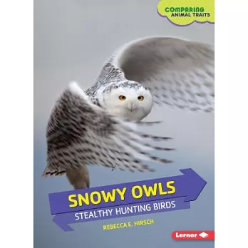Snowy Owls: Stealthy Hunting Birds