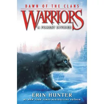 Warriors, Dawn of the clans: Forest divided /