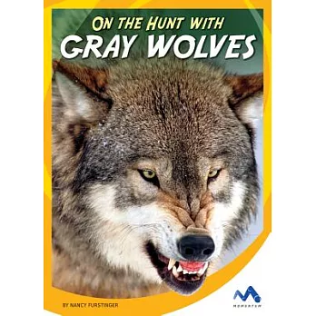 On the Hunt With Gray Wolves