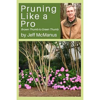 Pruning Like a Pro