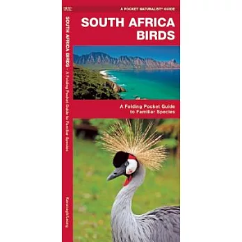 South Africa Birds: A Folding Pocket Guide to Familiar Species