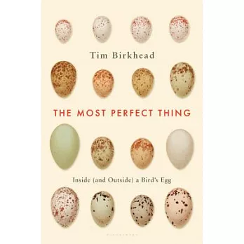 The Most Perfect Thing: Inside (And Outside) a Bird’s Egg