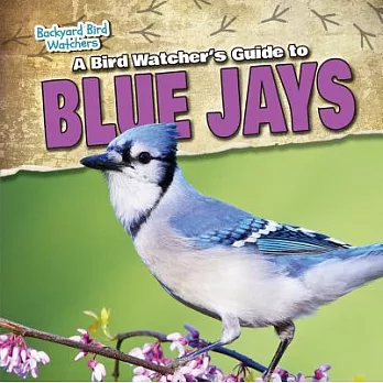A Bird Watcher’s Guide to Blue Jays
