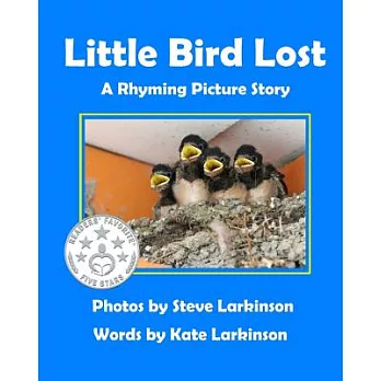 Little Bird Lost: A Rhyming Picture Story