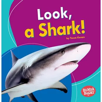 Look, a Shark!