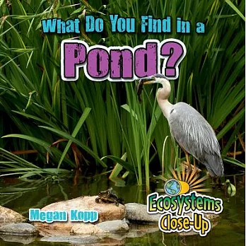 What do you find in a pond? /