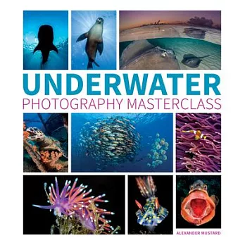 Underwater Photography Masterclass