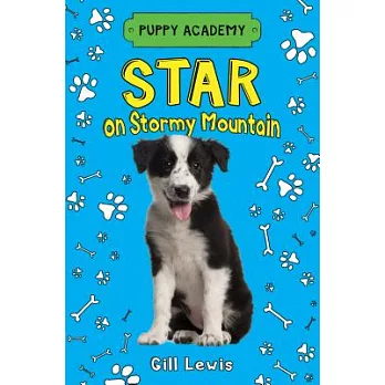 Star on Stormy Mountain  /