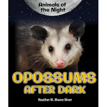 Opossums After Dark