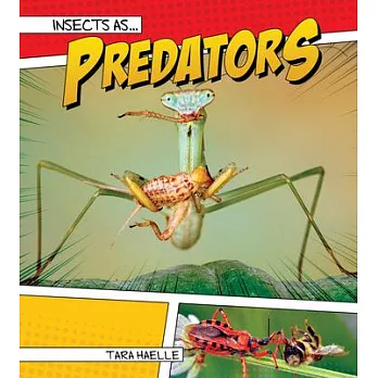Insects As Predators