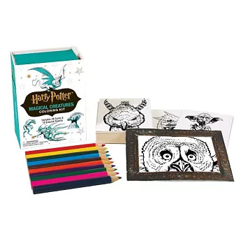 Harry Potter Magical Creatures Coloring Kit