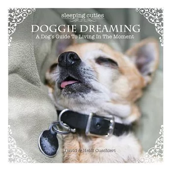 Doggie Dreaming: A Dog’s Guide to Living in the Moment