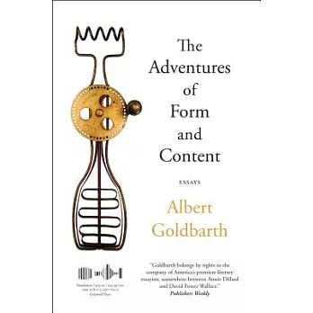 The Adventures of Form and Content: Essays